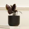 Oh-So Cute Planter- Black