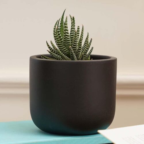 Oh-So Cute Planter- Black