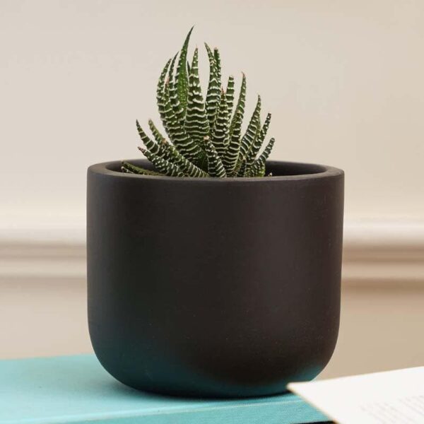 Oh-So Cute Planter- Black Oh-So Cute Planter- Black