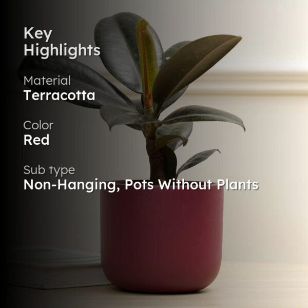 Oh-So Cute Planter- Maroon