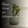 Ombresque Planter - Green