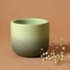 Ombresque Planter - Green