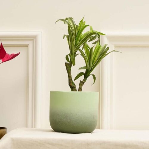 Ombresque Planter - Green
