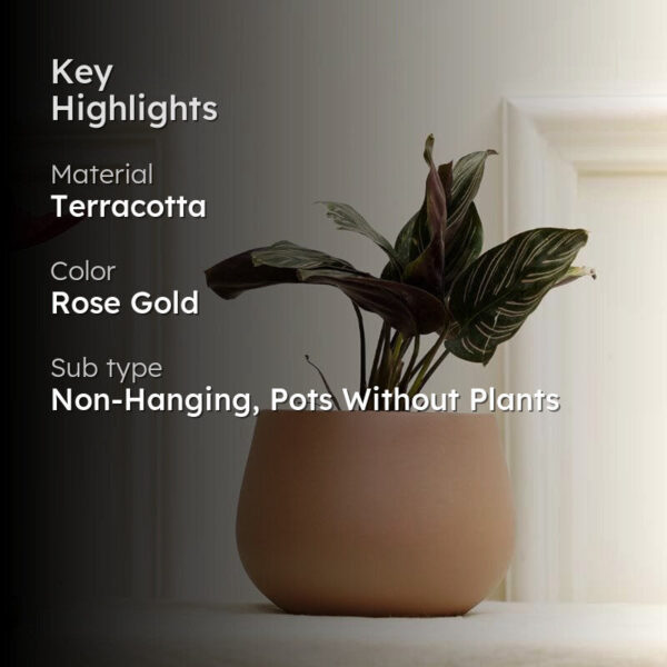 Peggy-Pogo Planter Peggy-Pogo Planter