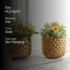 Pineapple Bite Planter - Set Of Two
