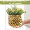 Pineapple Bite Planter - Set Of Two