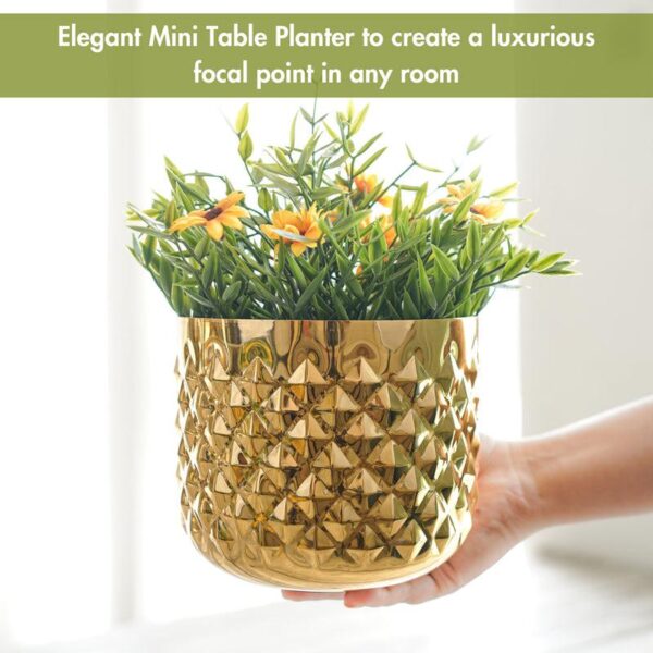 Pineapple Bite Planter - Set Of Two Pineapple Bite Planter - Set Of Two