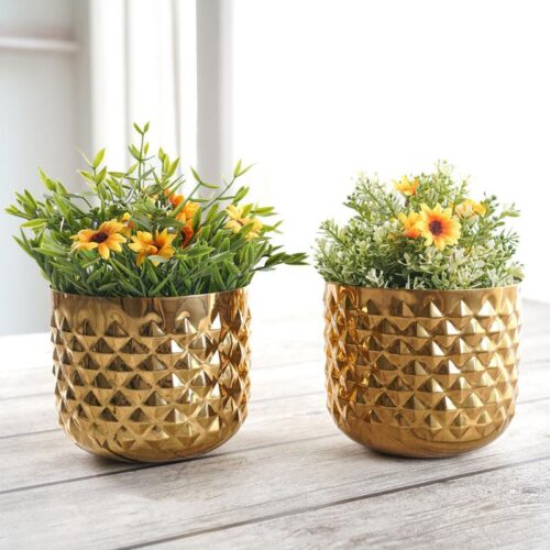Pineapple Bite Planter - Set Of Two