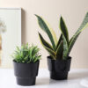 PlantaPod Planter - Set Of Two