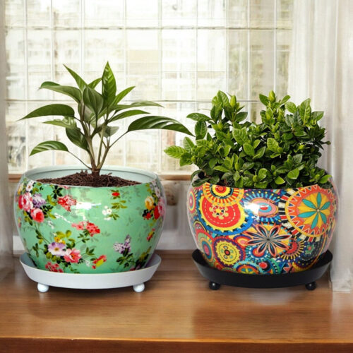 Rustic Fusion Planter With Plate - Set Of Two