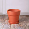 Rusticana Terracotta Planter - Set Of Four
