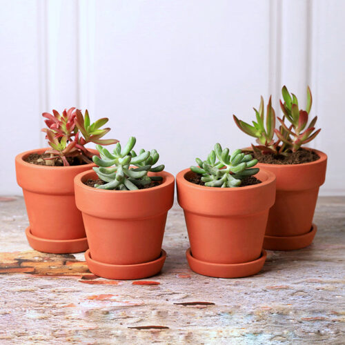 Rusticana Terracotta Planter - Set Of Four