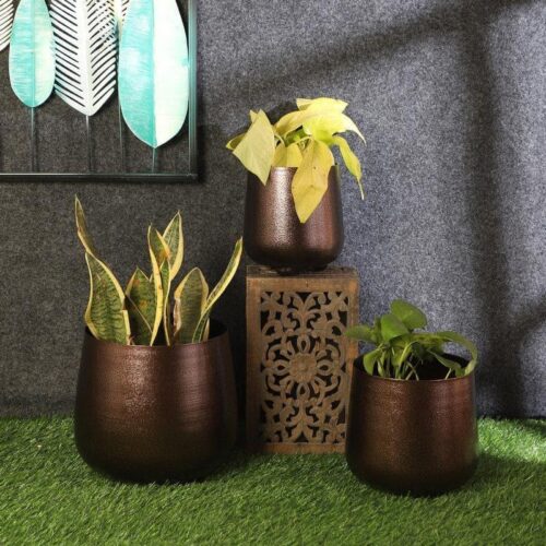 Shrina Shae Planter - Set Of Three
