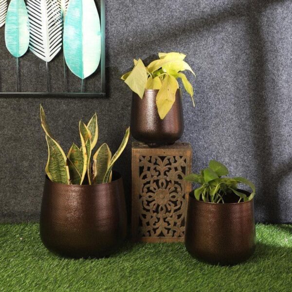 Shrina Shae Planter - Set Of Three Shrina Shae Planter - Set Of Three