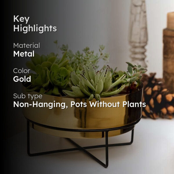 Sooty Patootie Planter-Gold Sooty Patootie Planter-Gold