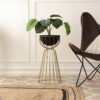 Tejasvi Floor Planter (Black) - Large