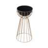 Tejasvi Floor Planter (Black) - Large
