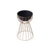 Tejasvi Floor Planter (Black) - Medium