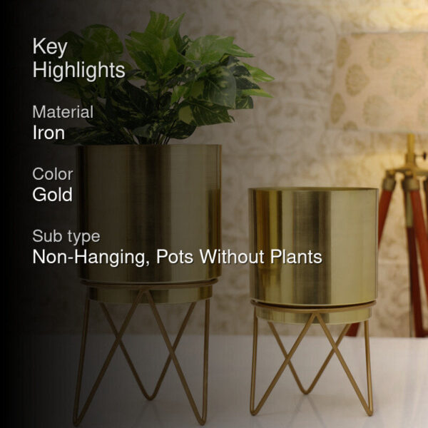 Teodora Planter (Gold) - Set Of Two Teodora Planter (Gold) - Set Of Two