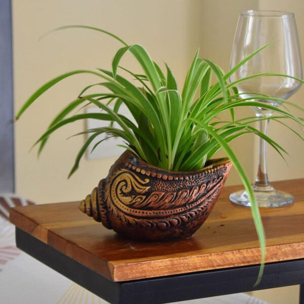 Terrapod Terracotta Planter - Set Of Two Terrapod Terracotta Planter - Set Of Two