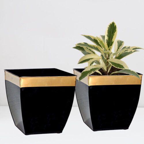Yula Goldo Planter (Black) - Set Of Two