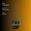 Zarna Hanging Planter