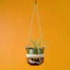 Zarna Hanging Planter