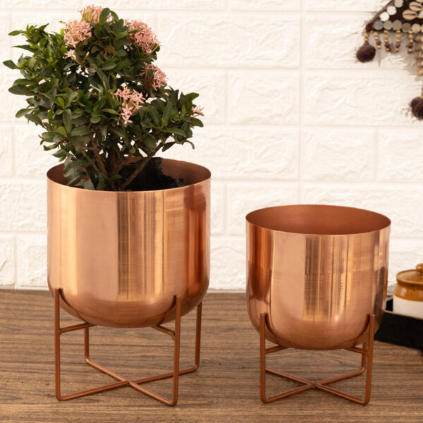 Zeren Olive Planter (Rose Gold) - Set Of Two Zeren Olive Planter (Rose Gold) - Set Of Two