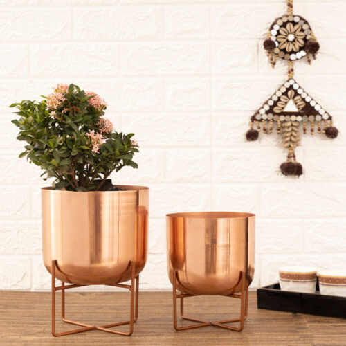 Zeren Olive Planter (Rose Gold) - Set Of Two