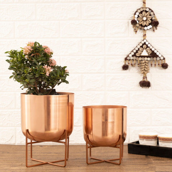 Zeren Olive Planter (Rose Gold) - Set Of Two Zeren Olive Planter (Rose Gold) - Set Of Two