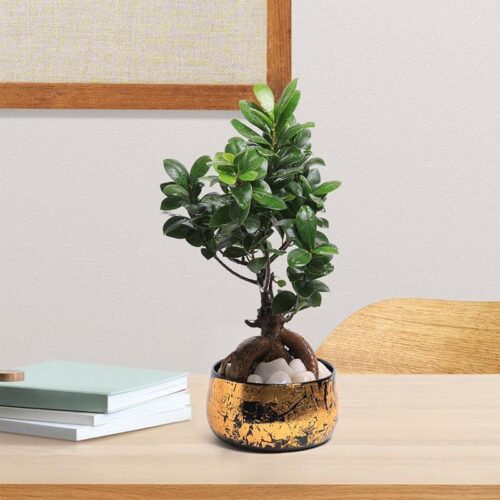 Zima Metal Planter