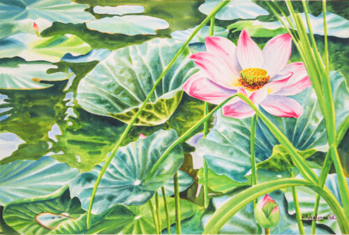 Floral Impressionist Watercolor Painting of Pink Lotus, 'Spring Lotus' Floral Impressionist Watercolor Painting of Pink Lotus, 'Spring Lotus'