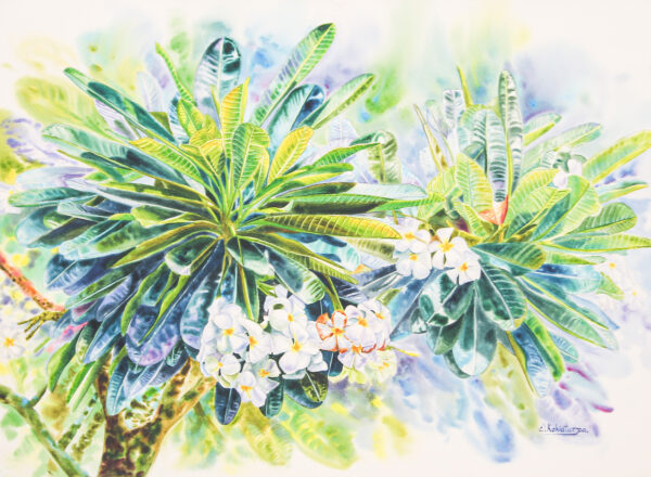 Watercolor Impressionist Painting of Frangipani Trees, 'Frangipani Season I'